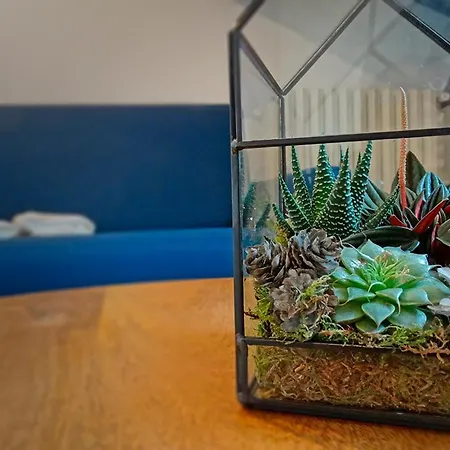 Charme & Luxury - Sosa In The Heart Of Lägenhet